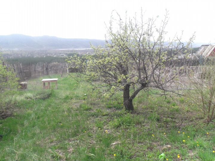 Участок 6,5 сот. (ИЖС)