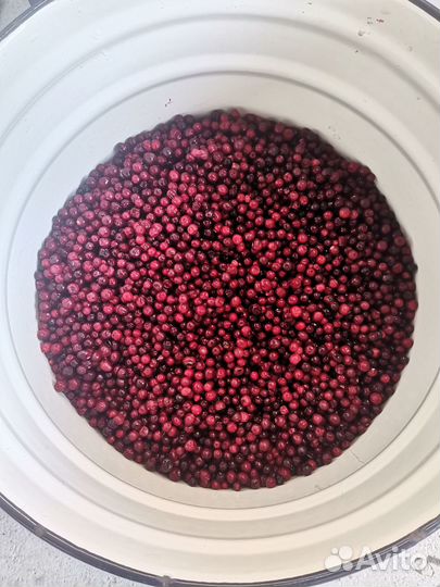 Брусника