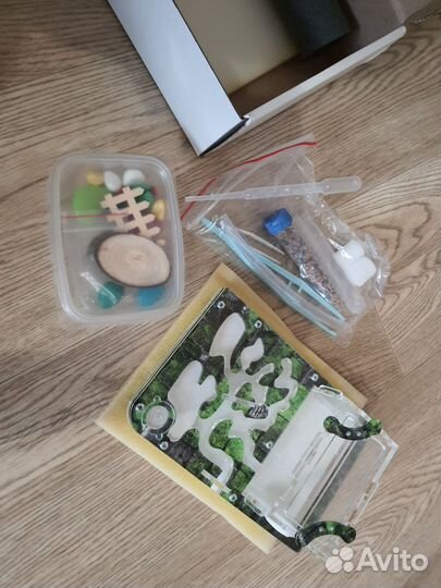 Муравьиная ферма