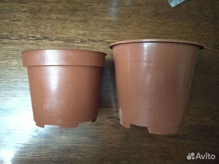 Горшок для рассады