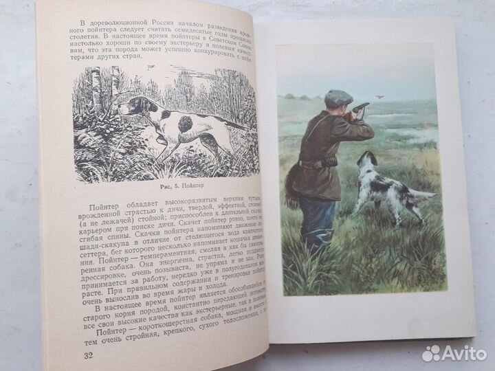 Спортивная охота с собакой. П.Ф. Пупышев