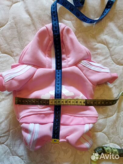 Костюм и шлейка для маленькой собаки