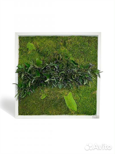 Картина на стену из мха и растений Art Gro