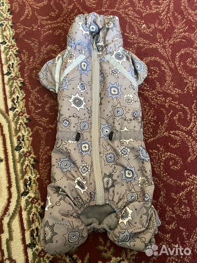 Одежда для маленьких собак зима