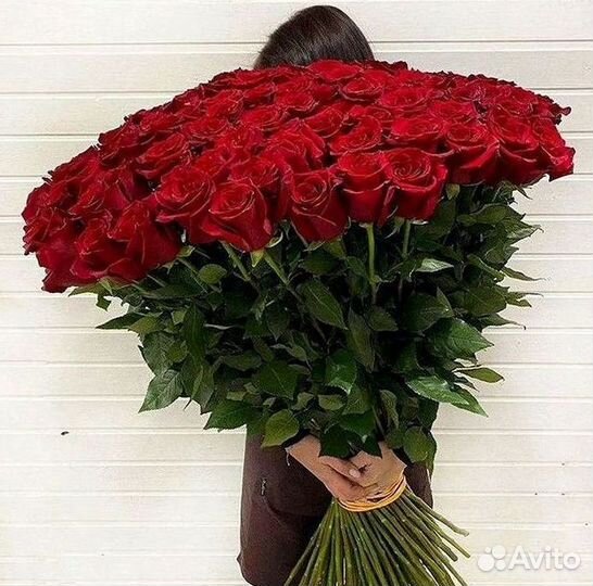Метровые розы 110