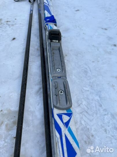 Беговые лыжи Domino sable 160