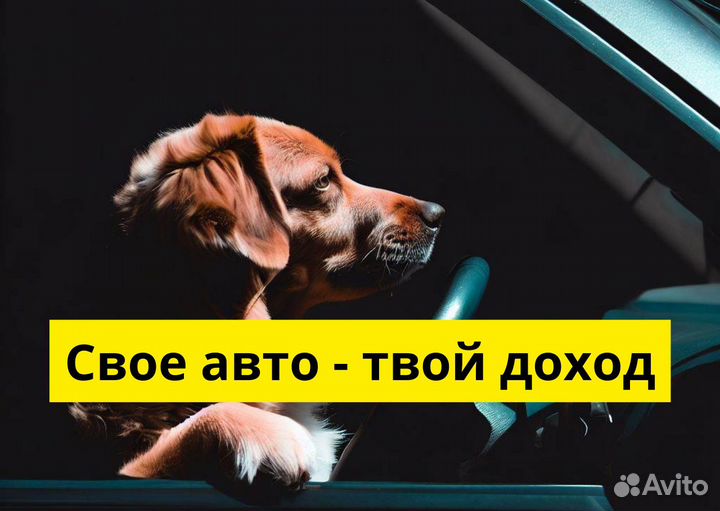 Станьте водителем Яндекс.Go