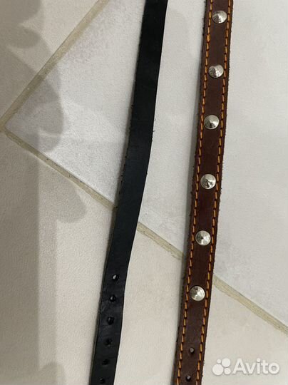 Ошейник для собак/шлейка