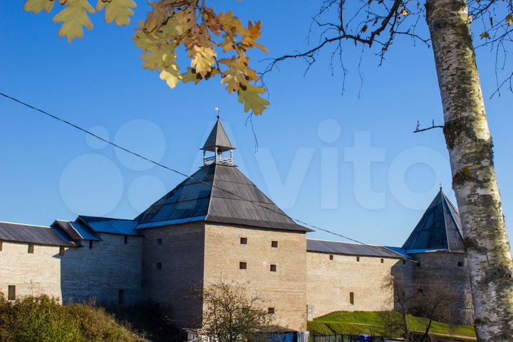 Участок 10 сот. (СНТ, ДНП)