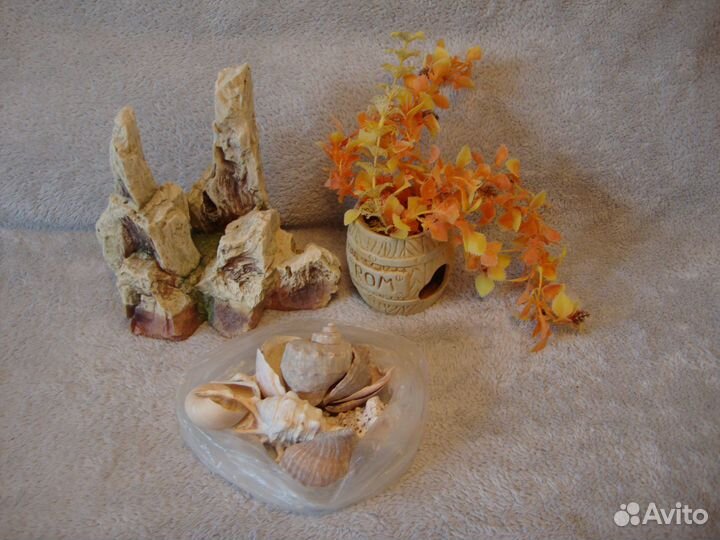Аквариум Ракушки