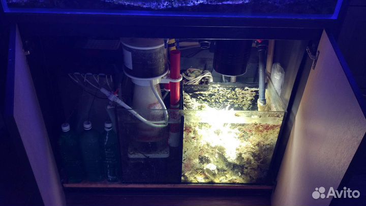 Морской аквариум