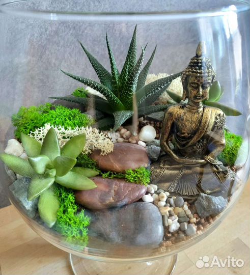 Флорариум с живыми суккулентами