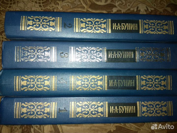 Бунин И.А