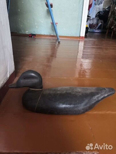 Подсодная утка