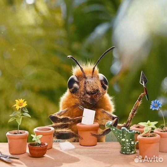 Ульи с пчелами