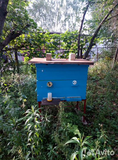 Продается пасека