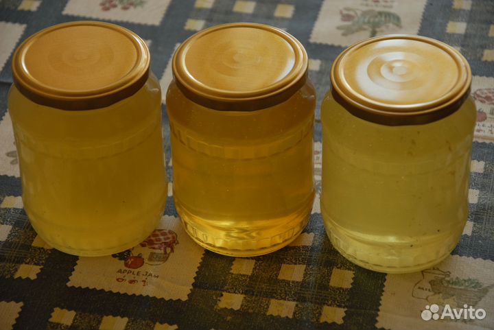 Мед. Алтай 2023. Настоящий Май и настоящая Акация