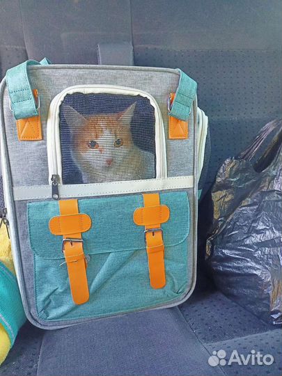 Переноска для кошки или собаки
