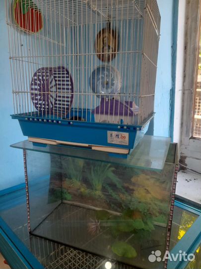 Клетка и аквариум