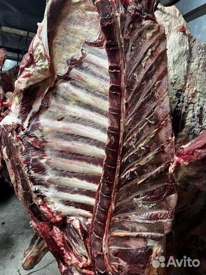 Мясо оптом