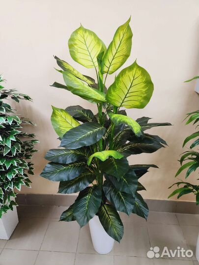 Диффенбахия цветок искусственный домой кафе офис