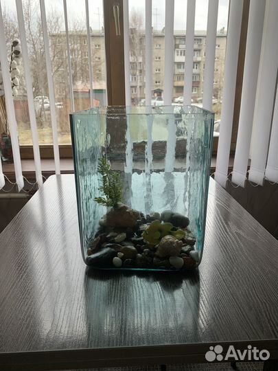 Аквариум