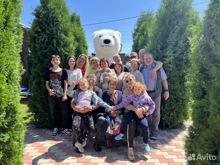 Экспресс поздравление, белый мишка