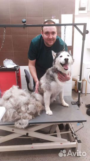 Грумер стрижка собак