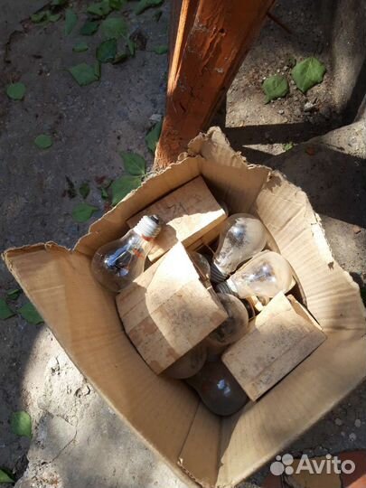 Лампочки электрические 12в,36в.220в