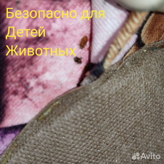 Уничтожение клопов, клещей, травля тараканов