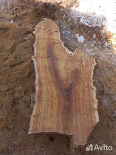 Слэб из карагача