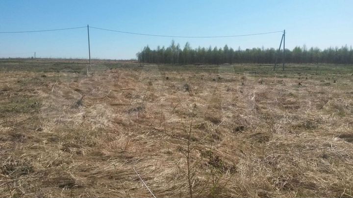 Участок 12 сот. (СНТ, ДНП)