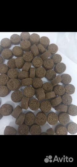 Корм для собак