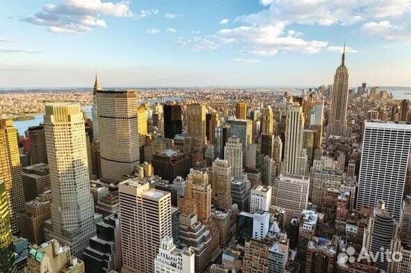 Фотообои-392 x 260 см