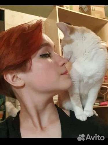 Передержка домашних животных