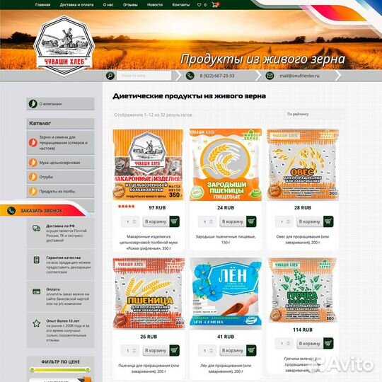 Создание и продвижение сайтов в Набережных Челнах