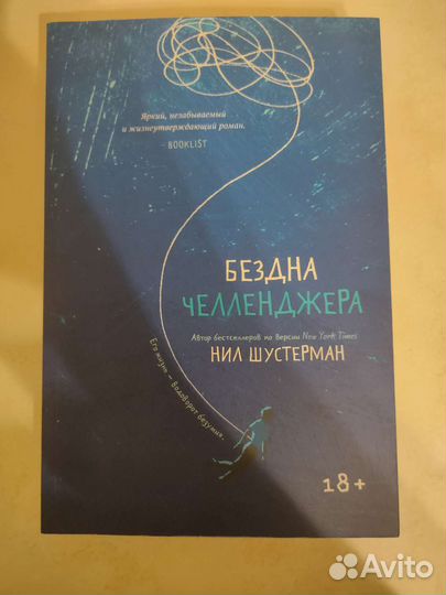 Нил Шустерман - Бездна челленджера