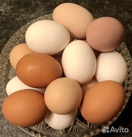 Яйца куриные домашние