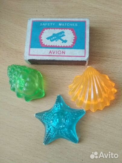 Морские ракушки