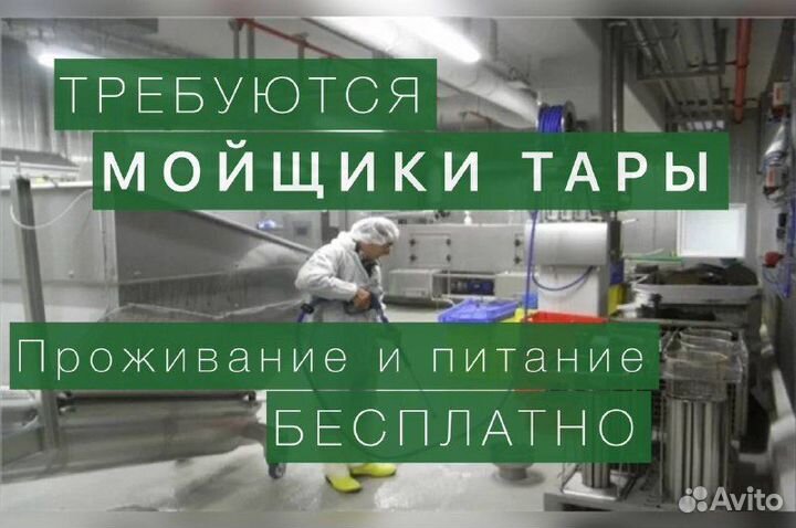 Разнорабочие с проживанием. Мойка тары