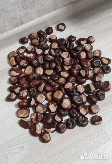 Каштаны 100+ штук в банке Вардаген IKEA