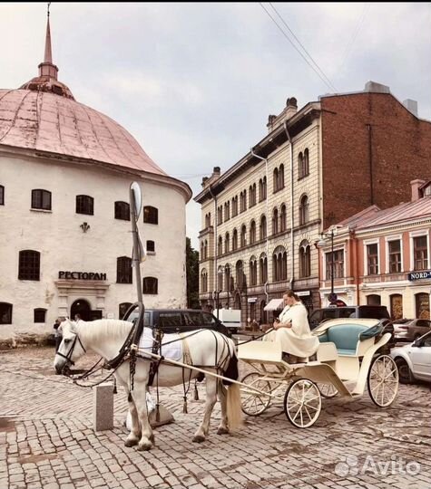 Гид экскурсовод по городу Выборг