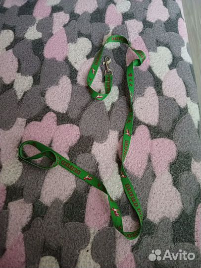 Одежда и обувь для собаки