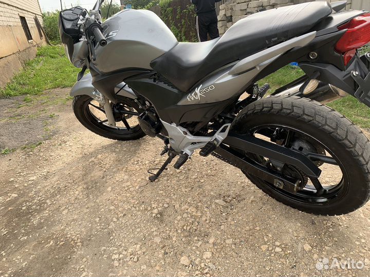 Stels Flex 250