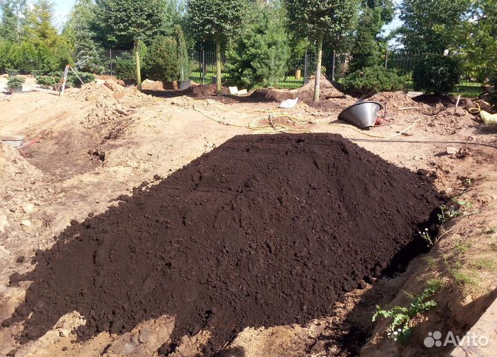 Чернозем Растительная Плодородная Суглинок Песок