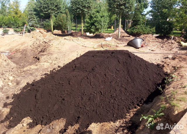 Чернозем Растительная Плодородная Суглинок Песок