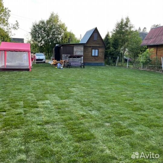 Рулонный газон, газон посевной