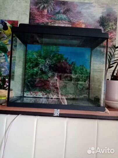 Аквариум
