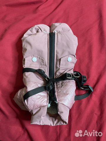 Одежда для собак