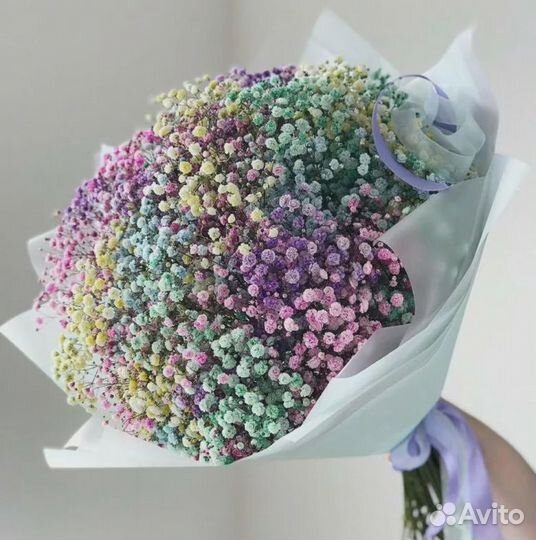 Гипсафила белая и радужная